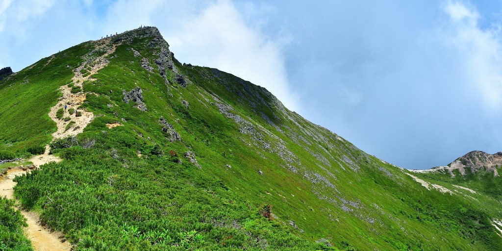 First View Background
